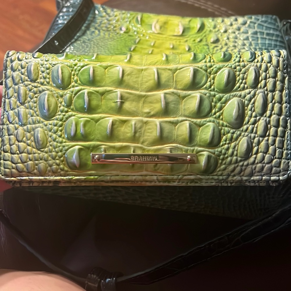 Brahmin cross body and wallet.
